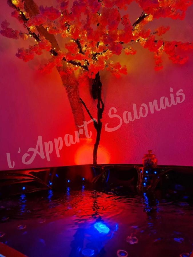 Lappart-Salonais 70M2 Avec Jacuzzi Privatif Exterior photo